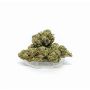 Sativa Poland Susz CBD Kosher Kush - 3